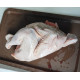 CHICKEN CHICKEN